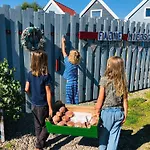 Fajne Miejsce - Caloroczne Slow Relax Sauna & Jacuzzi Dębki